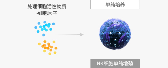 处理细胞活性物质-细胞因子 - 单纯培养(NK细胞单纯增殖)