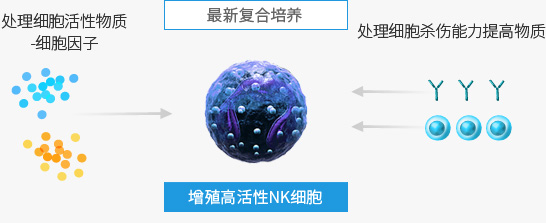 处理细胞活性物质-细胞因子、处理细胞杀伤能力提高物质 - 最新复合培养(增殖高活性NK细胞)