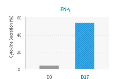 IFN-γ Cytokine graph