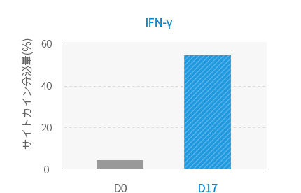 IFN-γ 培養前後のサイトカイン分泌量の比較