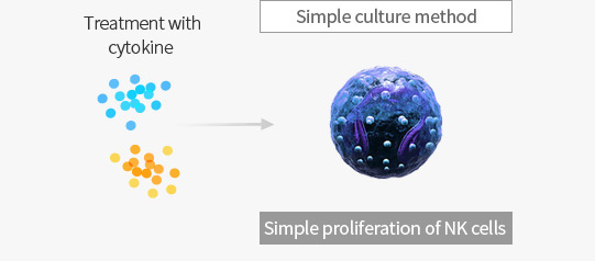 Treatment with cytokine  - Simple culture method (Simple proliferation of NK cells)